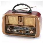 braon radio