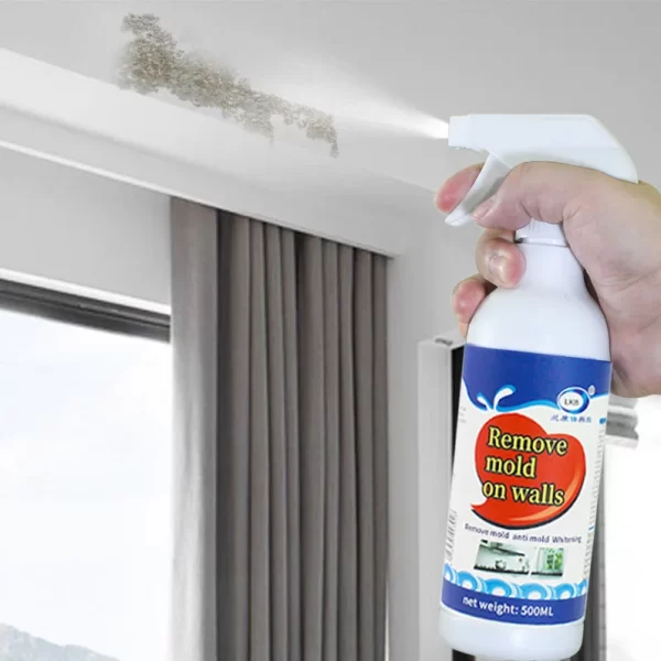 Sredstvo za uklanjanje buđi – dubinski sprej za uporne mrlje i plesni