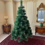 Zelena Jelka bez ukrasa na njoj u kuci